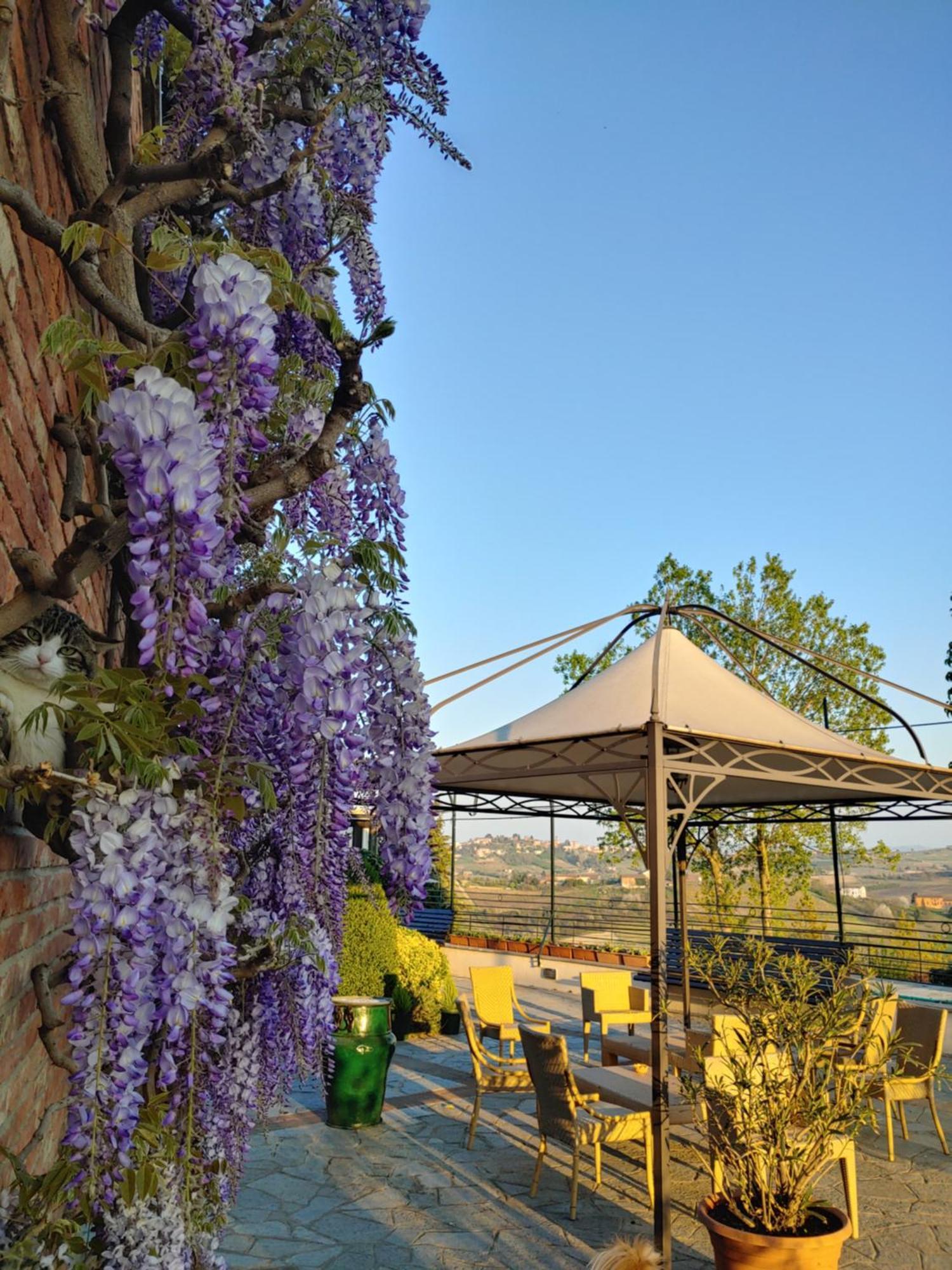 Locanda Del Boscogrande Montegrosso d'Asti Phòng bức ảnh